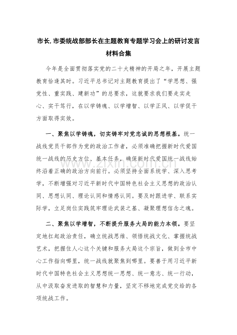 市长,市委统战部部长在主题教育专题学习会上的研讨发言材料合集.docx_第1页