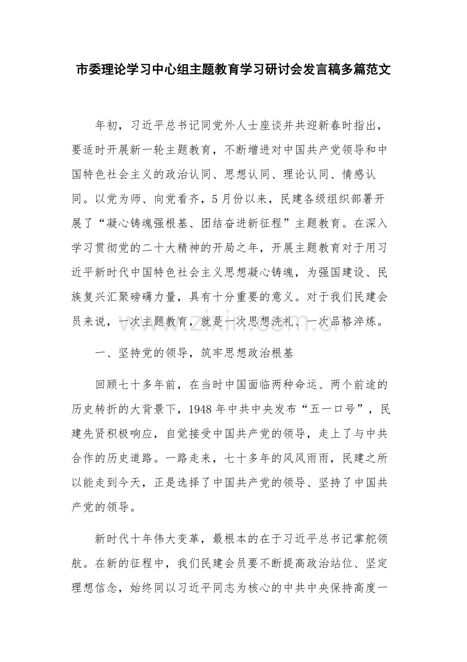 市委理论学习中心组主题教育学习研讨会发言稿多篇范文.docx_第1页