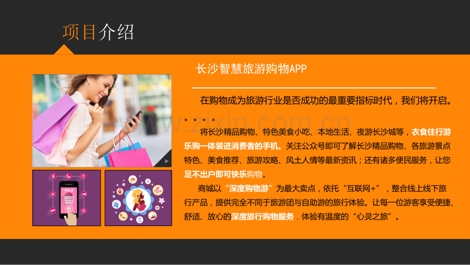 旅游APP项目策划方案.ppt_第2页