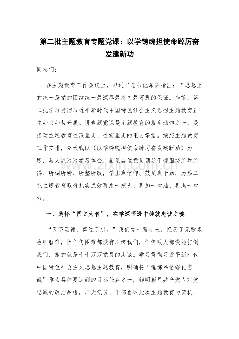 第二批主题教育专题党课：以学铸魂担使命踔厉奋发建新功.docx_第1页