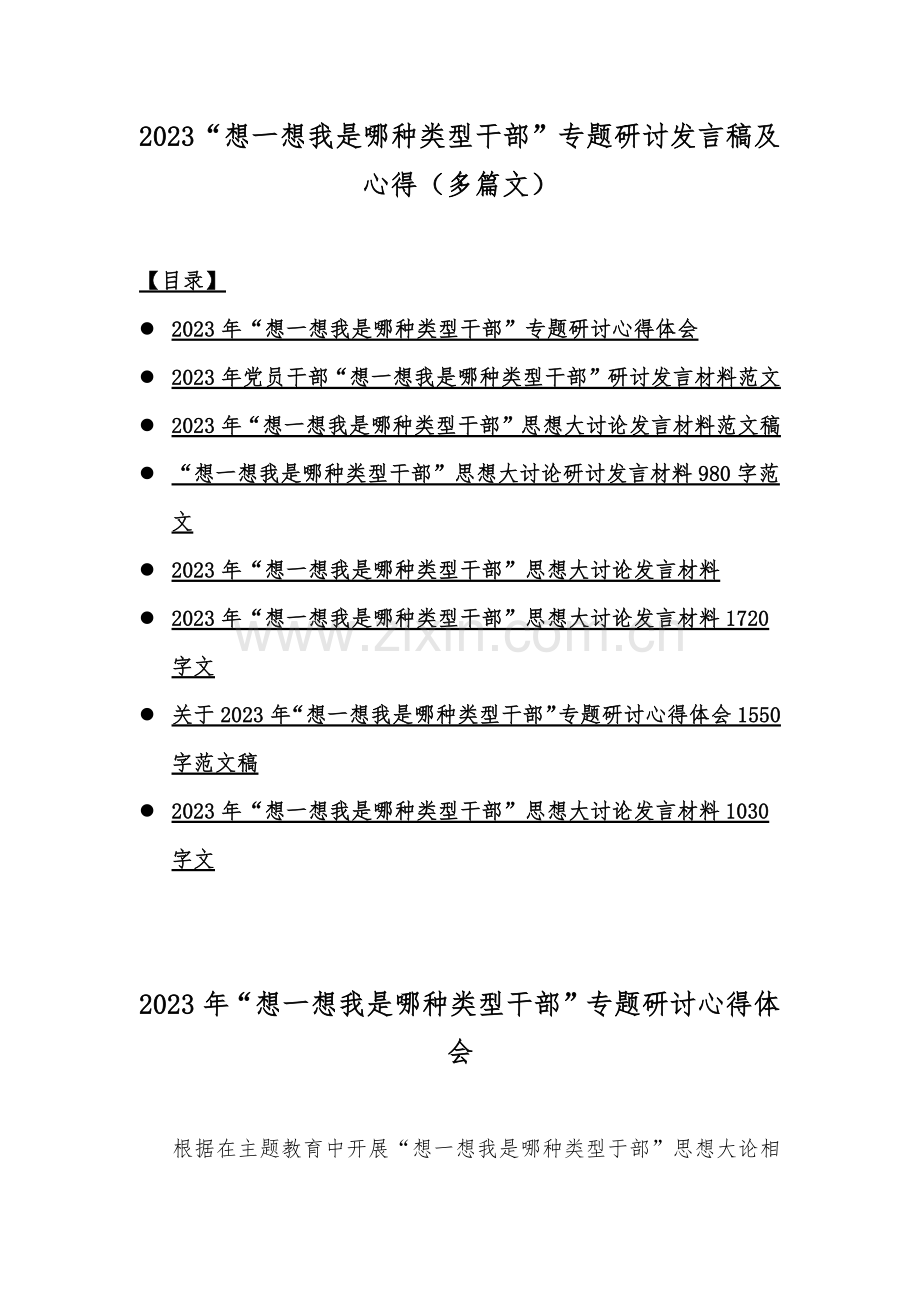 2023“想一想我是哪种类型干部”专题研讨发言稿及心得（多篇文）.docx_第1页