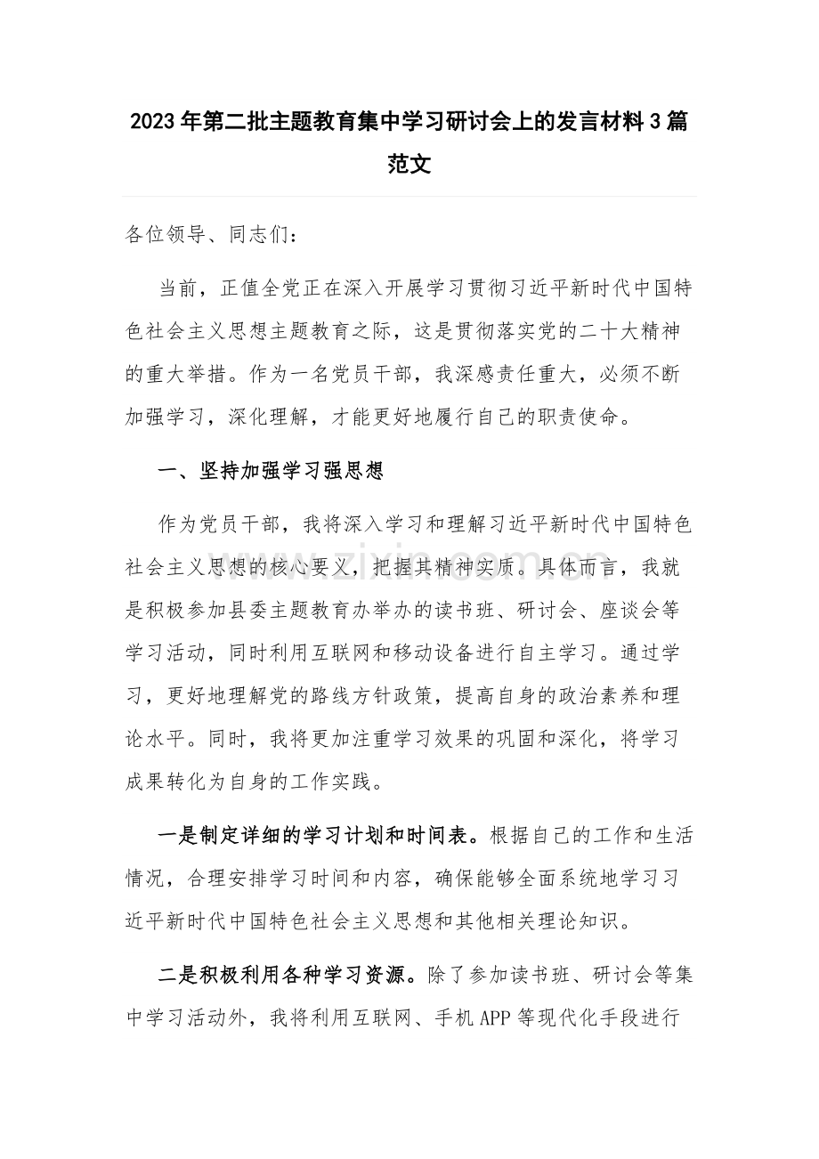 2023年第二批主题教育集中学习研讨会上的发言材料3篇范文.docx_第1页