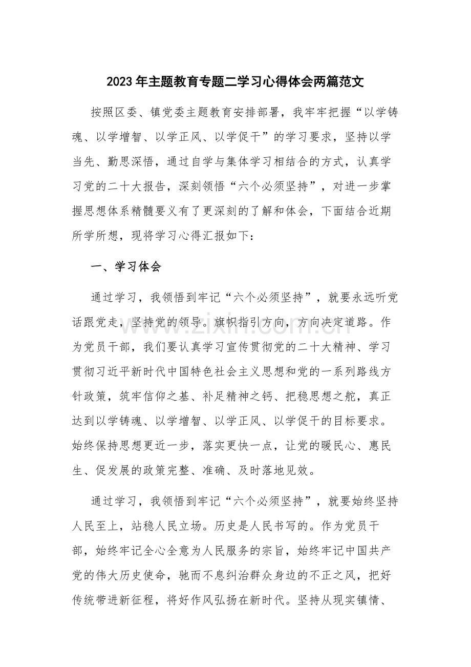 2023年主题教育专题二学习心得体会两篇范文.docx_第1页