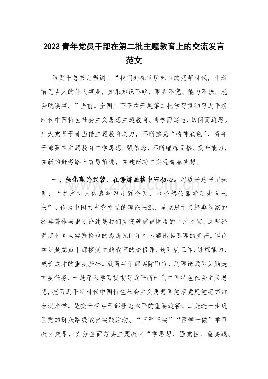 2023青年党员干部在第二批主题教育上的交流发言范文.docx_第1页