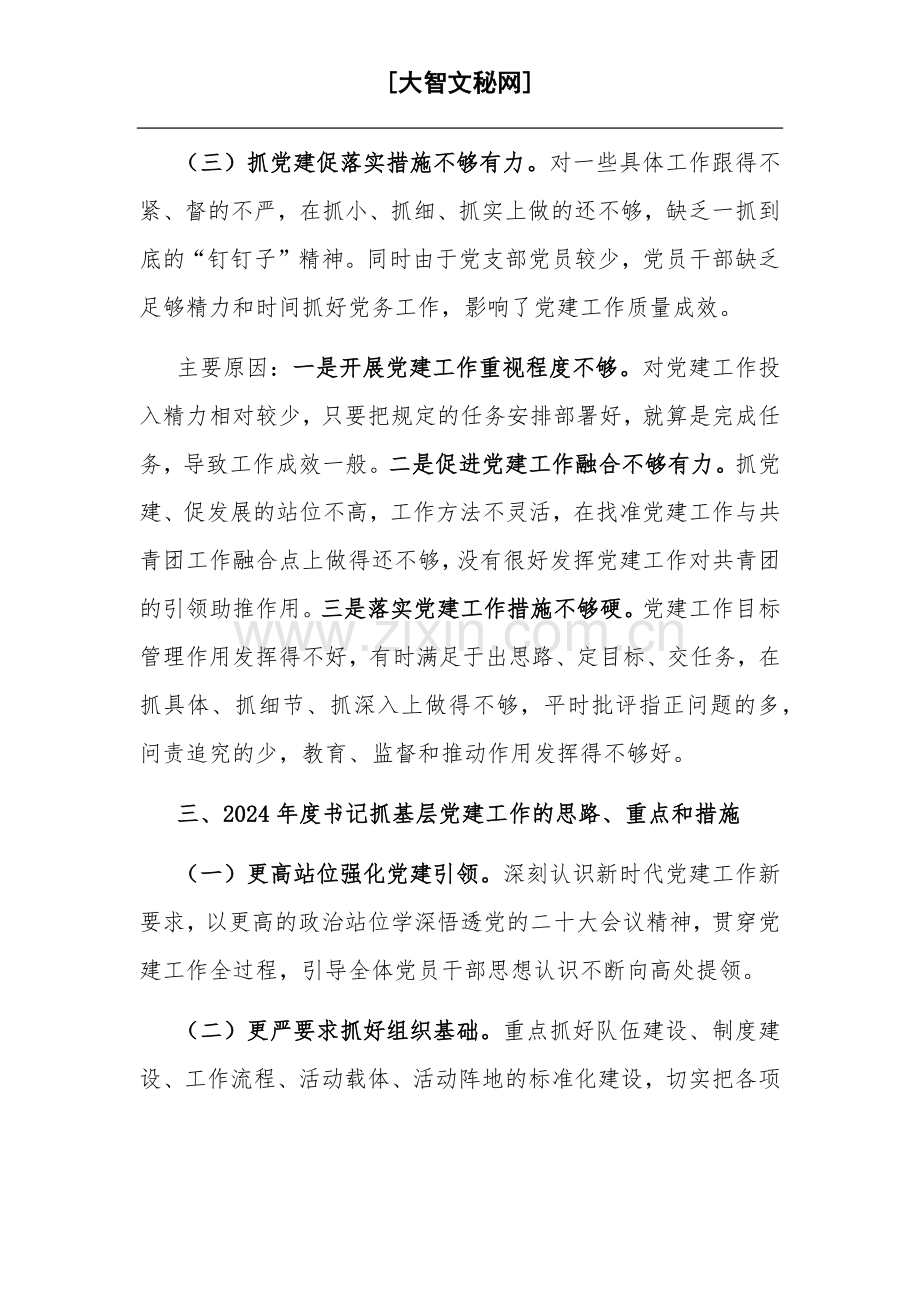 2023团区委党支部书记抓基层党建工作述职报告范文.docx_第3页