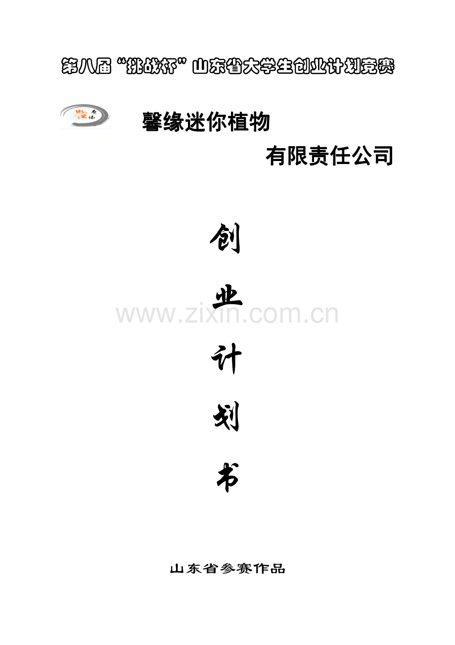 馨缘迷你植物有限责任公司创业计划书.pdf_第2页