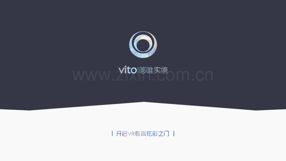 VITO.商业计划书.pdf_第1页