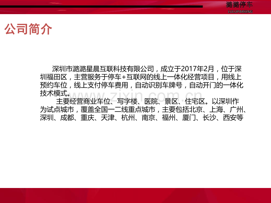 中国智能汽车网络停车服务项目计划书.pdf_第3页