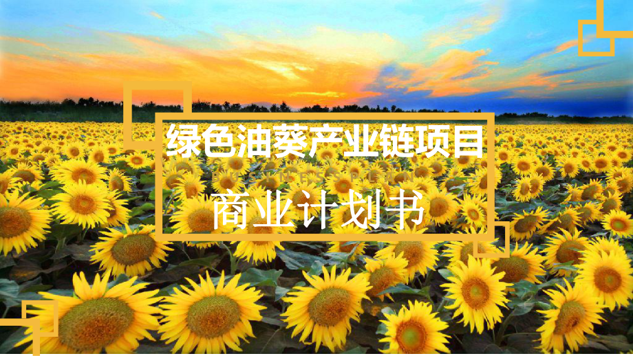 绿天使-绿色油葵产业链项目.pdf_第1页