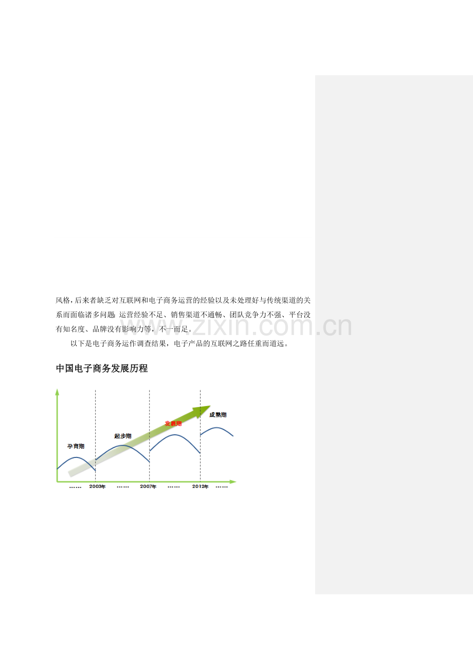 电子商务平台运营计划书.doc_第3页