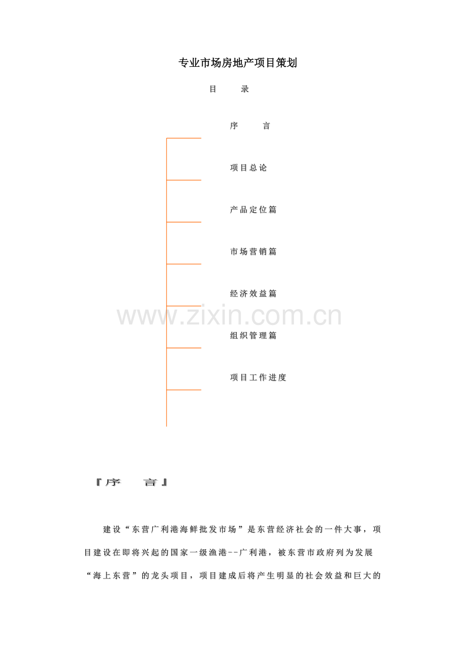 专业市场房地产项目策划.doc_第1页