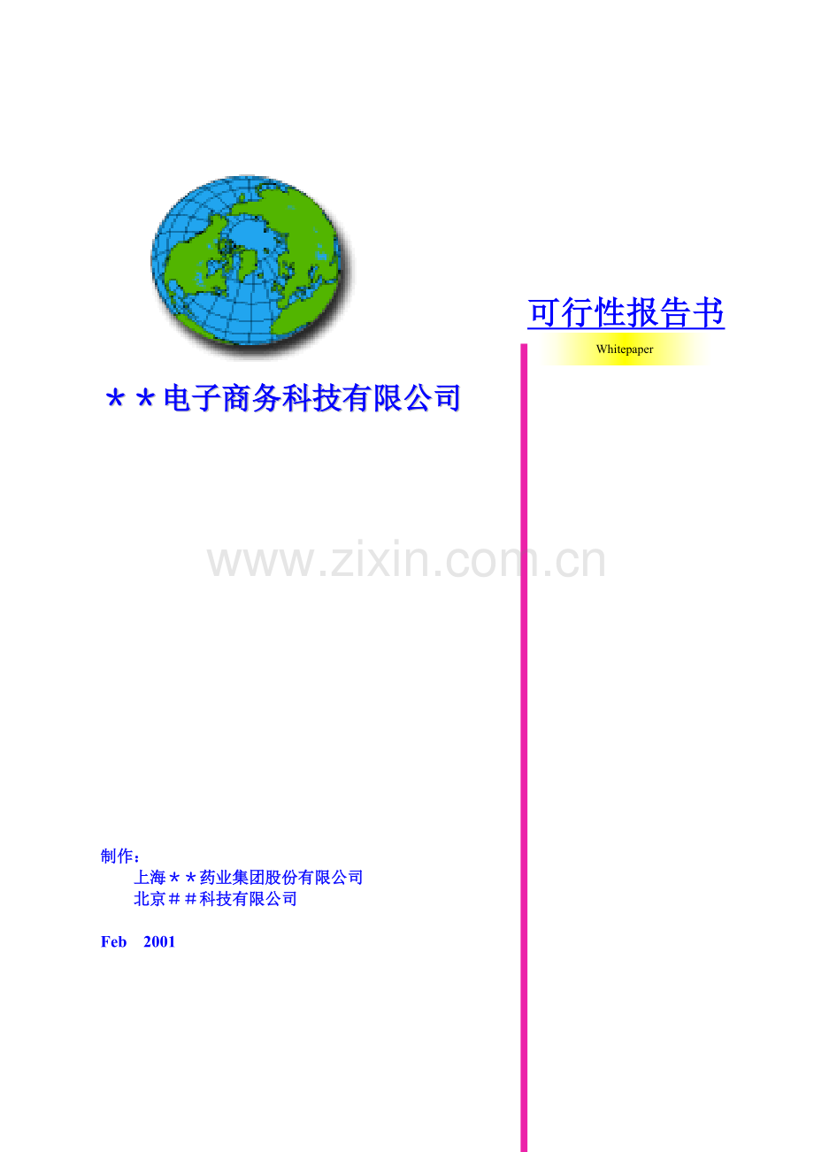 ＊＊电子商务科技有限公司可行性报告.doc_第1页