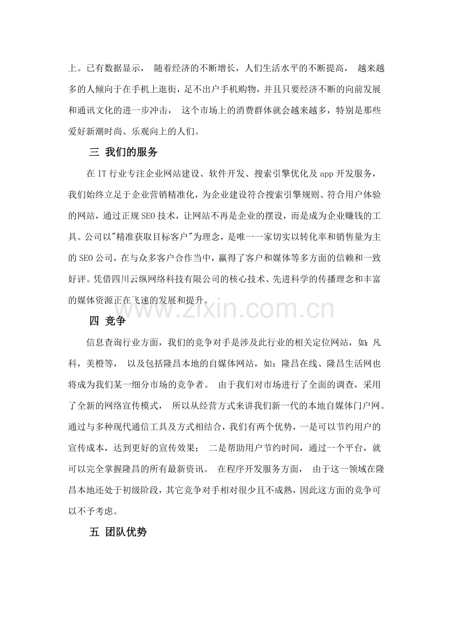 四川云纵网络公司企业策划书 .doc_第2页