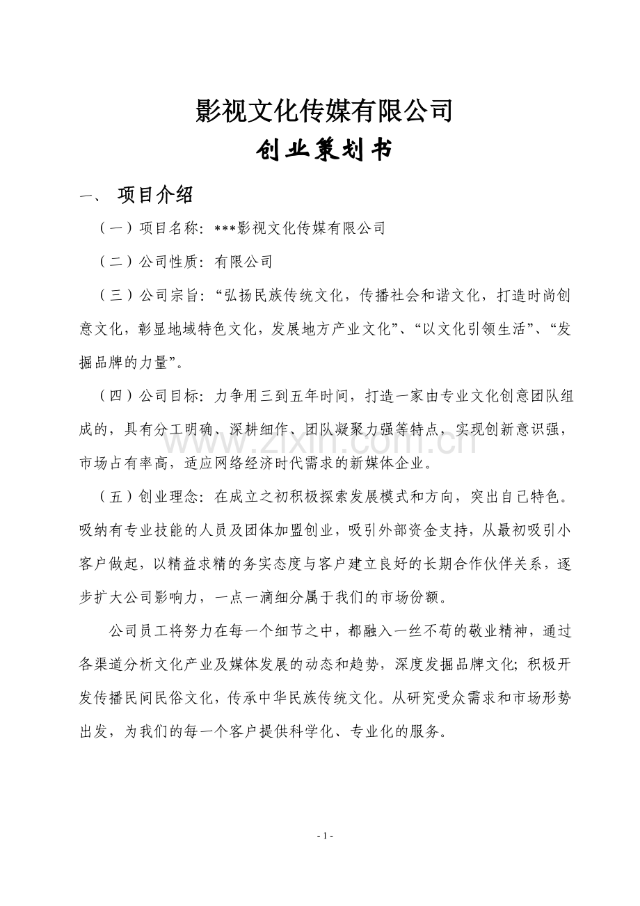 影视文化传媒有限公司创业策划书精讲 .doc_第1页