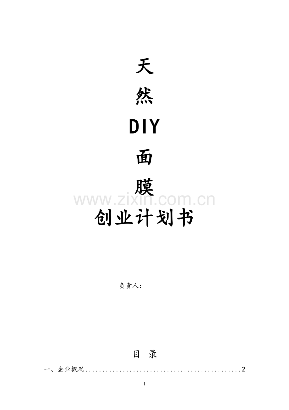 天然DIY面膜创业计划书 .doc_第1页