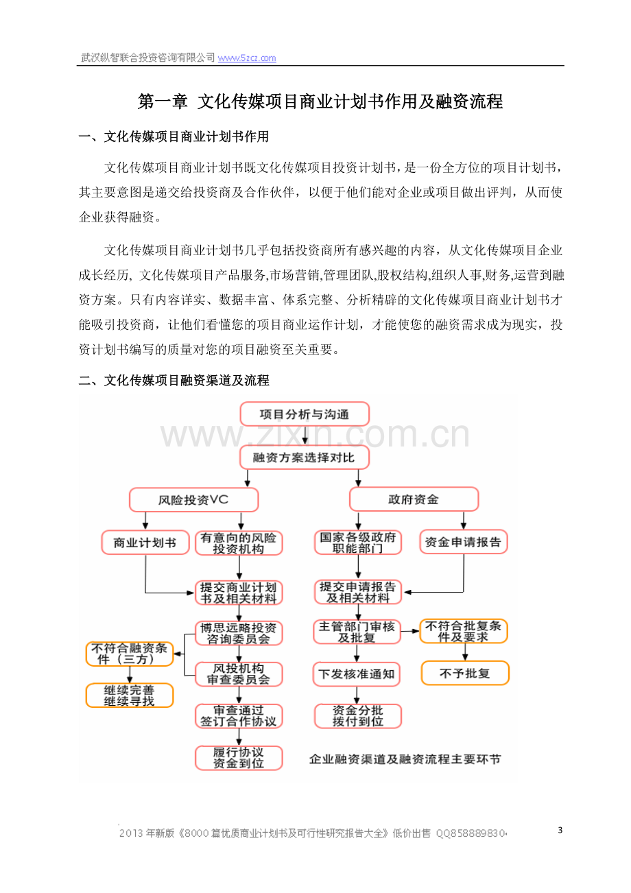 XXXXX文化传媒项目商业计划书 .doc_第3页