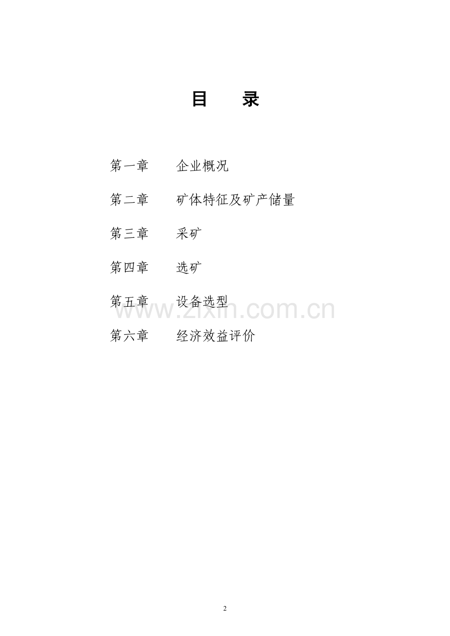 XX铜矿项目建议书.doc_第2页