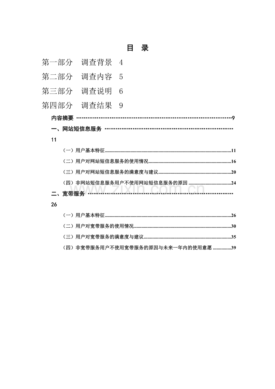 中国互联网络调查报告(2006).doc_第2页