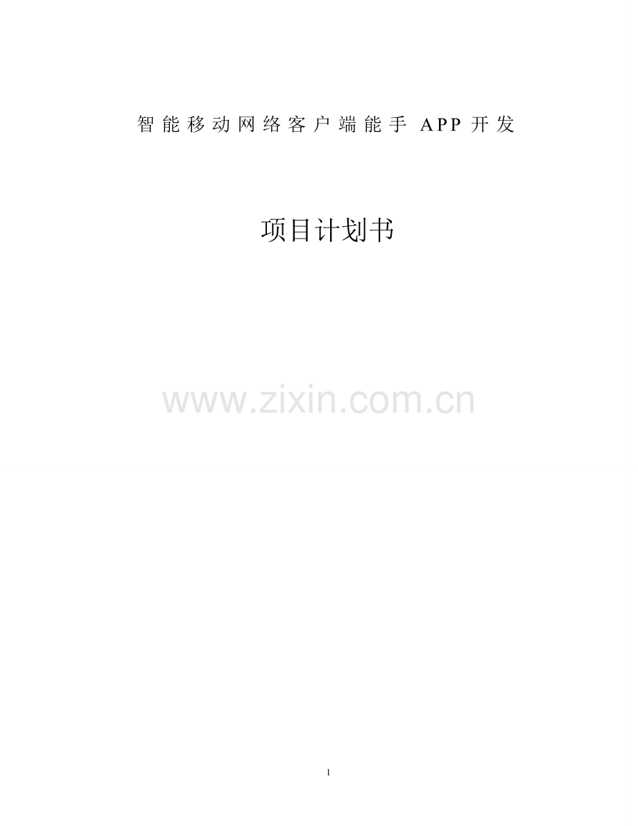 APP项目开发商业计划书 .doc_第1页