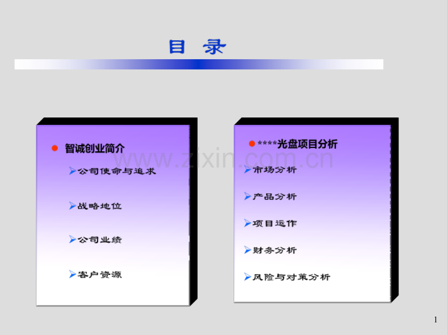 智诚教育公司商业计划书.ppt_第2页