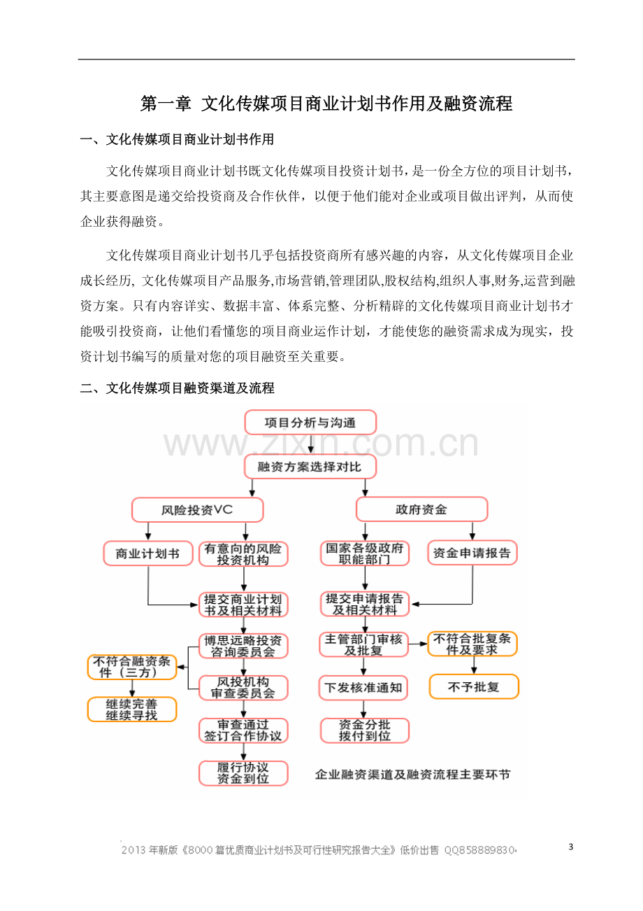 文化传媒项目商业计划书（模板） .doc_第3页