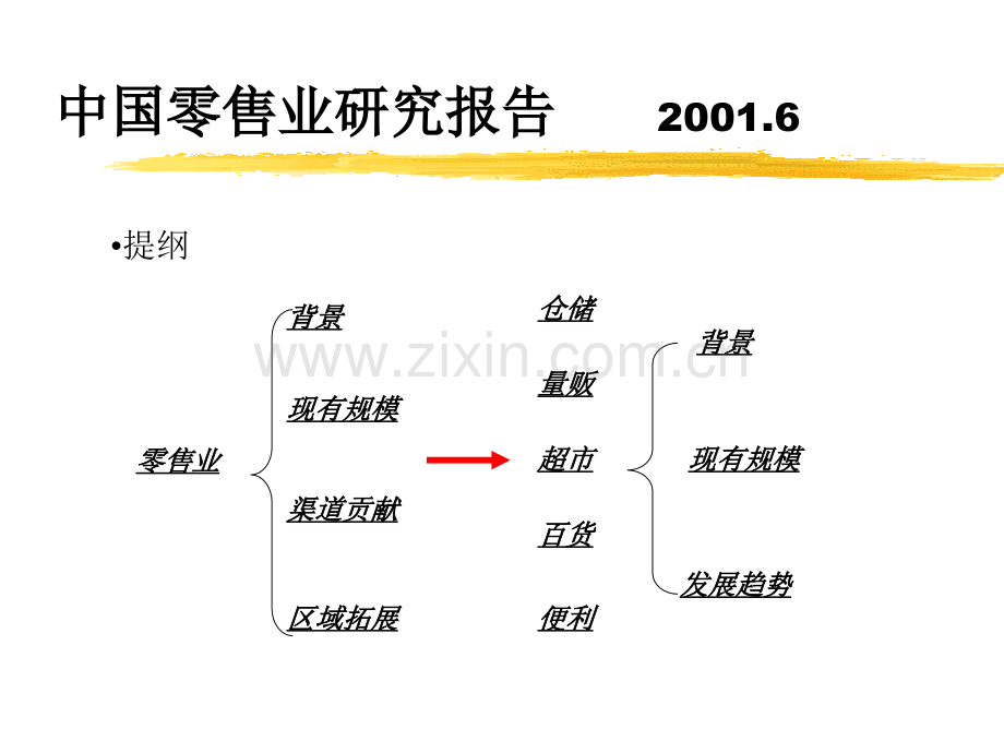 中国零售业研究报告.ppt_第2页