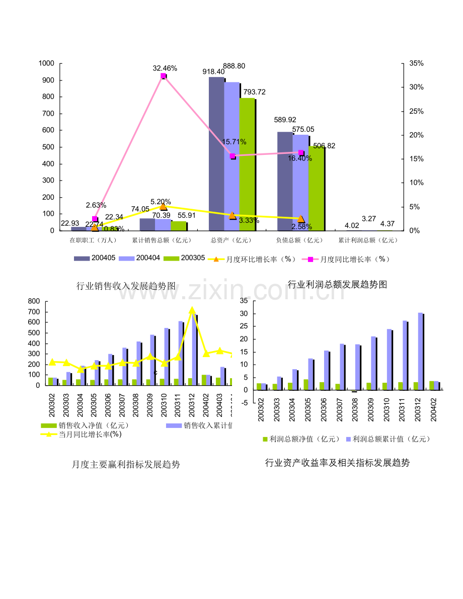 轮胎制造行业报告2004.doc_第2页