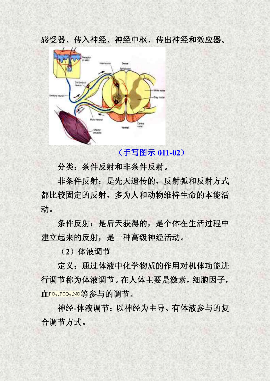 执业考试基础医学 生理学.pdf_第2页