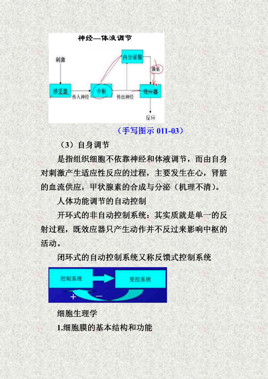 执业考试基础医学 生理学.pdf_第3页