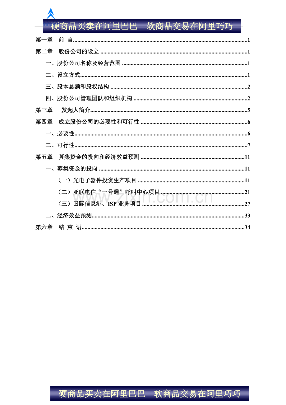 陕西亚联电信网络股份有限公司商业计划书 .doc_第2页