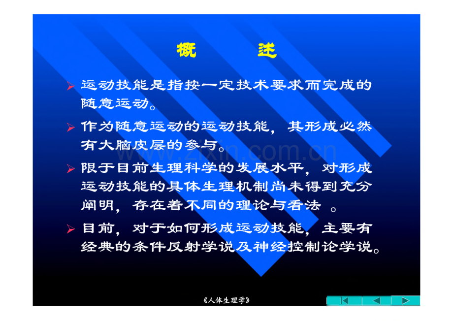 第十一章 运动技能形成的生理学基础.pdf_第2页