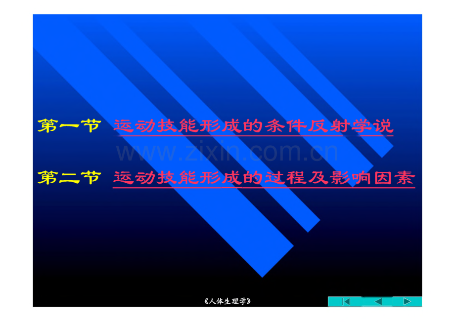 第十一章 运动技能形成的生理学基础.pdf_第3页