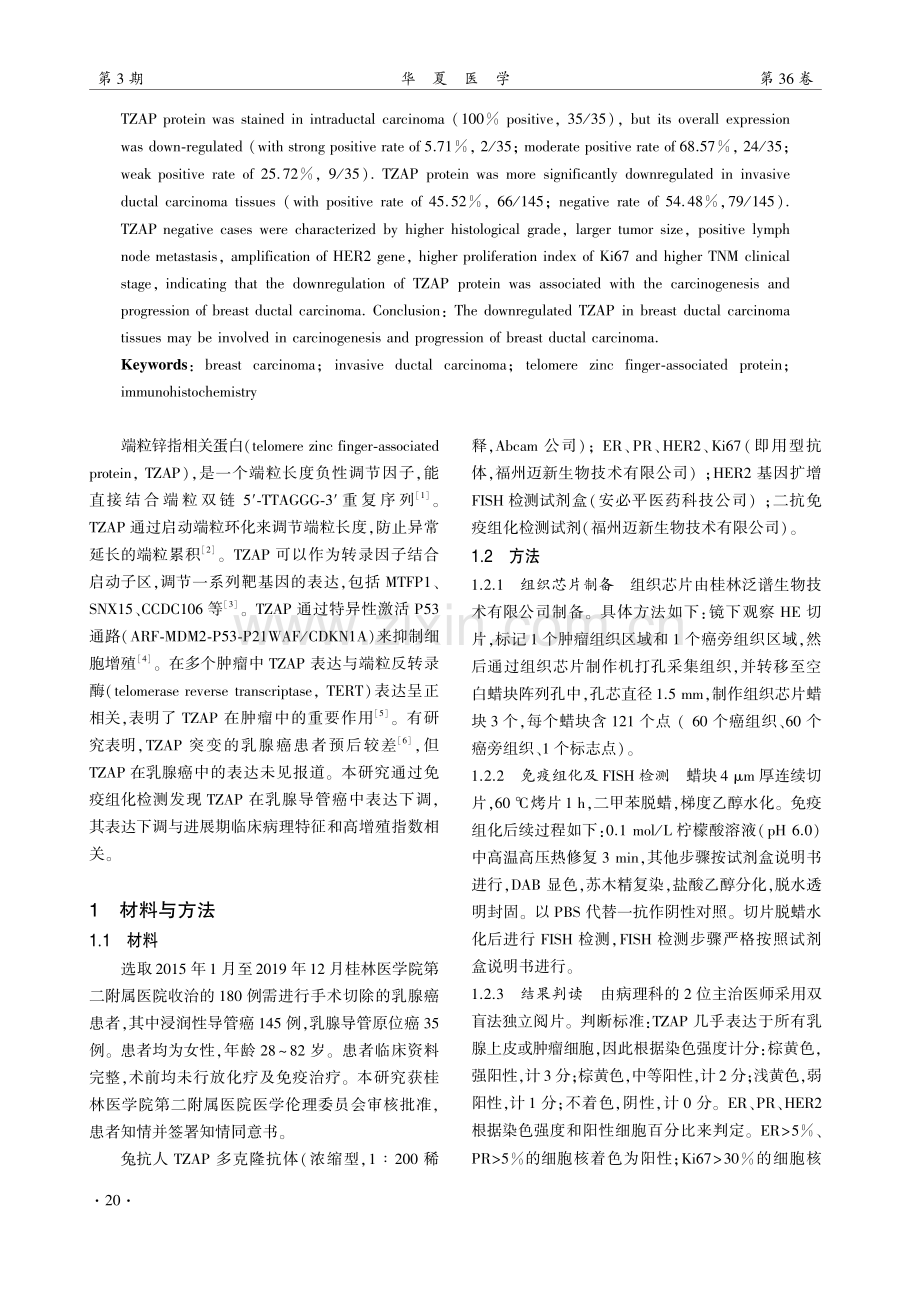 TZAP蛋白在乳腺导管癌中的表达及临床意义.pdf_第2页