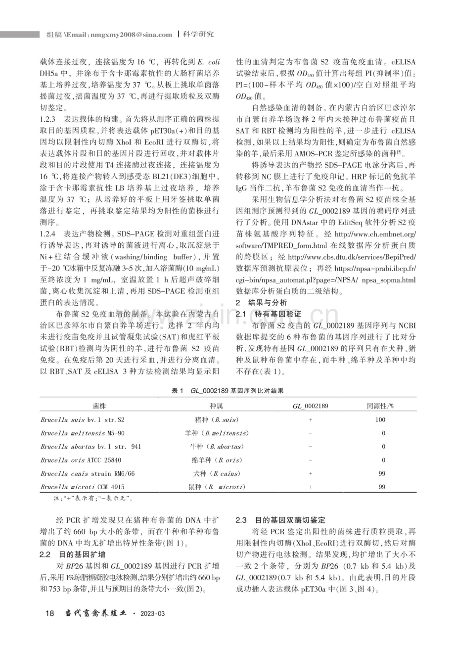 布鲁菌S2疫苗株GL_0002189基因原核表达及生物信息学分析.pdf_第2页