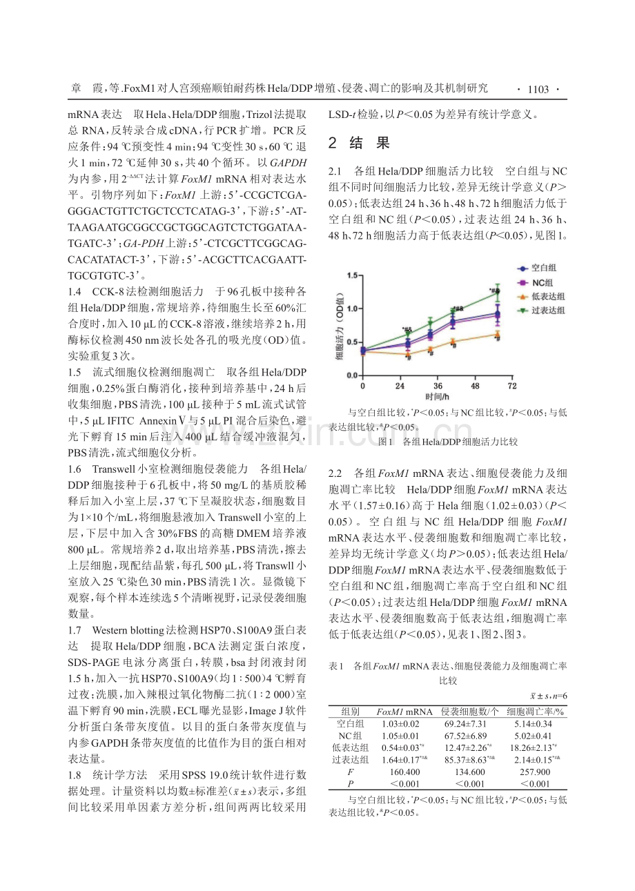 FoxM1对人宫颈癌顺铂耐药株Hela_DDP增殖、侵袭、凋亡的影响及其机制研究.pdf_第3页