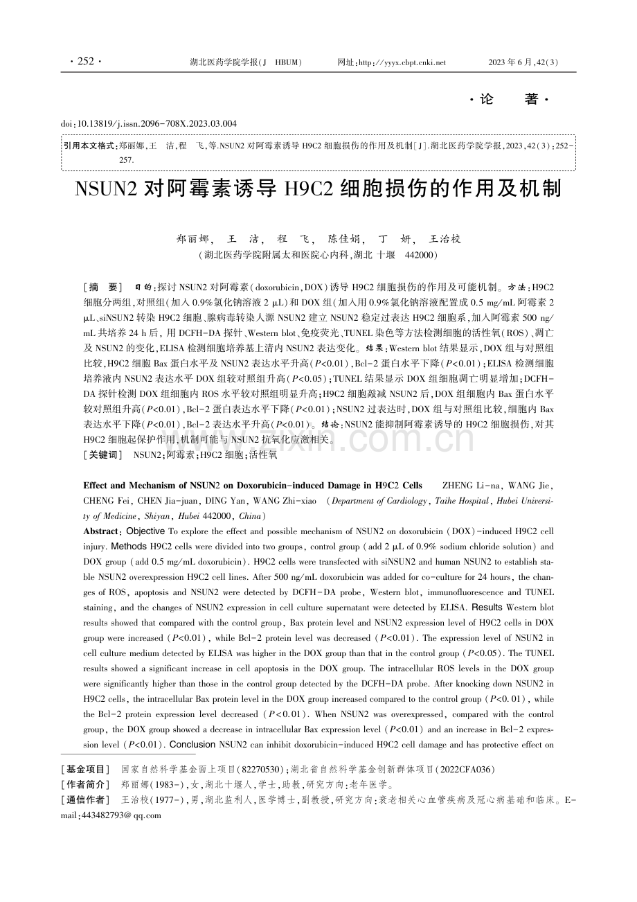 NSUN2对阿霉素诱导H9C2细胞损伤的作用及机制.pdf_第1页