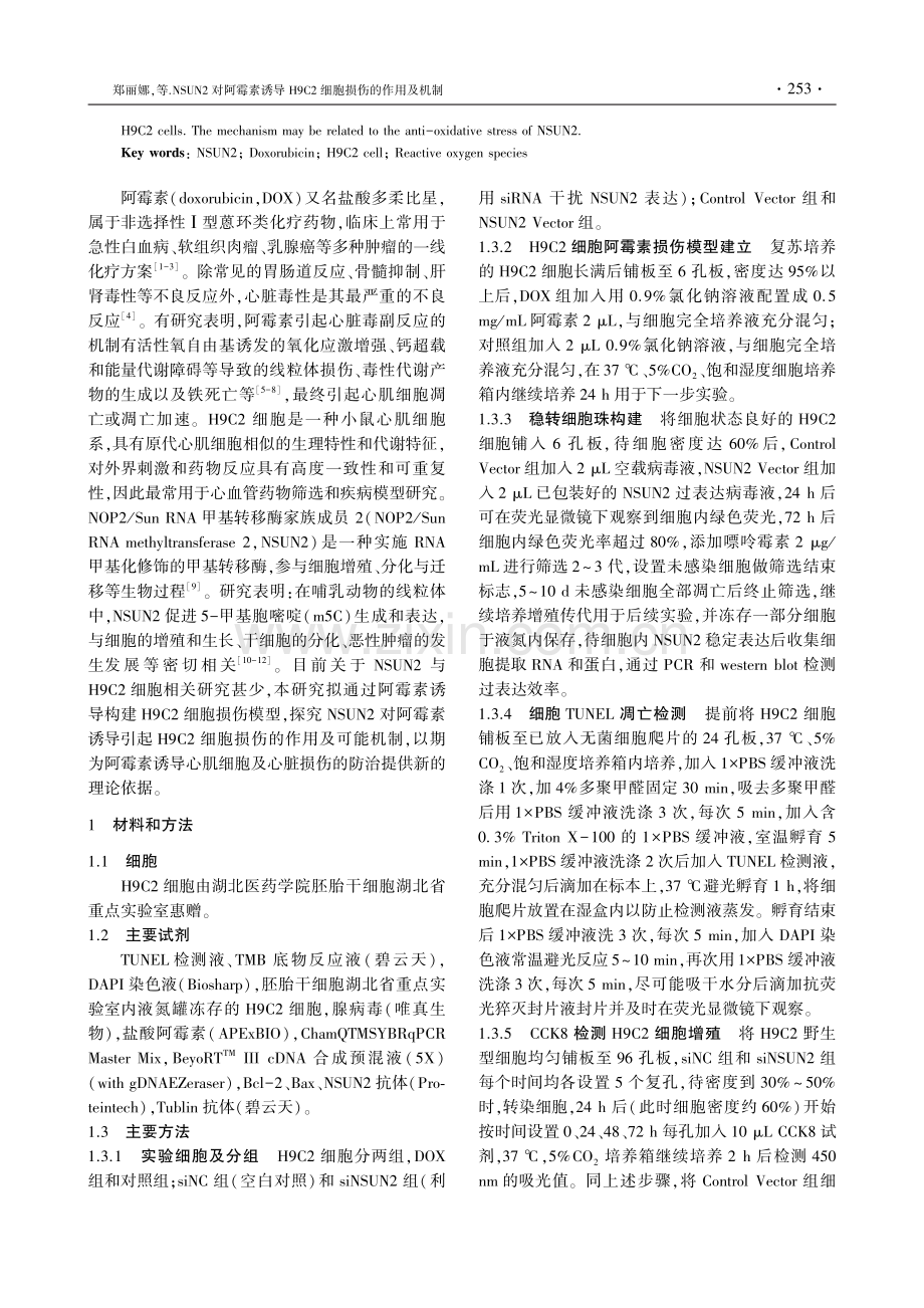 NSUN2对阿霉素诱导H9C2细胞损伤的作用及机制.pdf_第2页