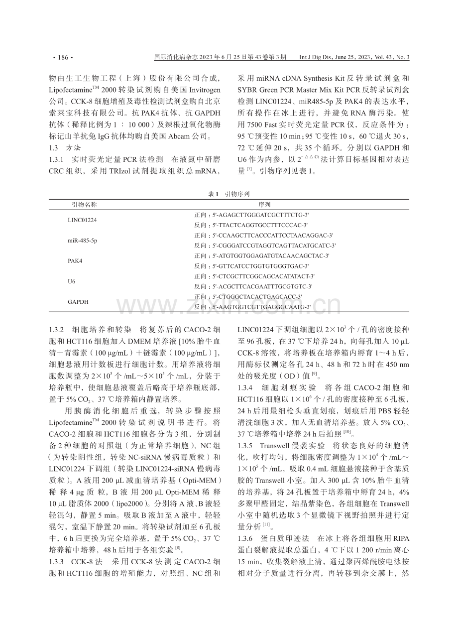 LINC01224靶向miR-485-5p调节PAK4表达影响结直肠癌术后复发的研究.pdf_第3页