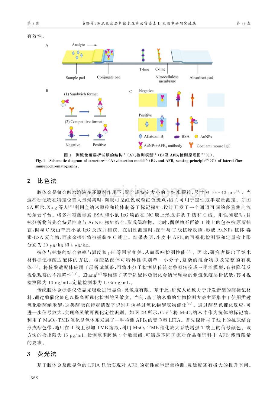 侧流免疫层析技术在黄曲霉毒素B1检测中的研究进展.pdf_第2页