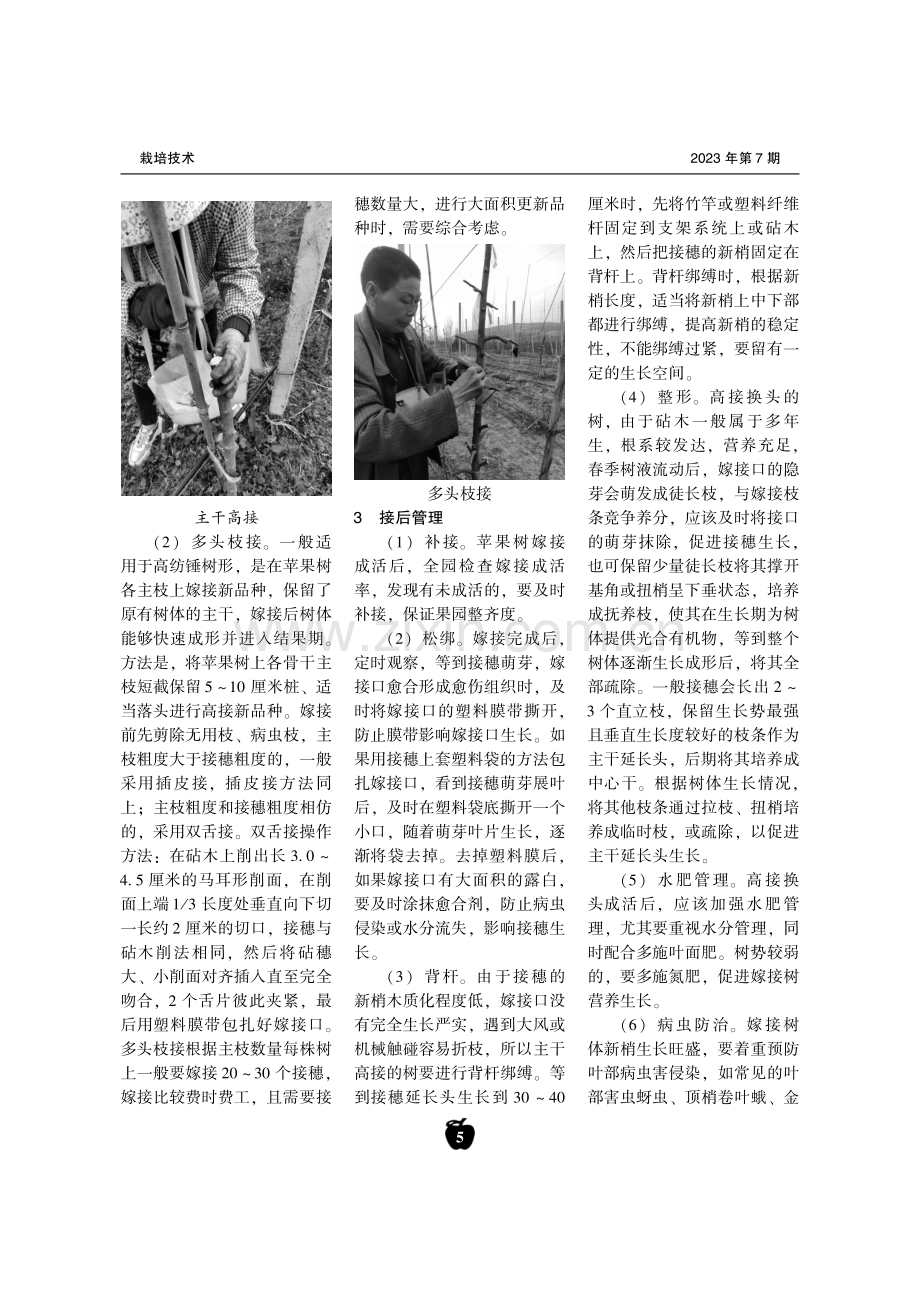 矮化密植苹果园高接换优技术.pdf_第2页