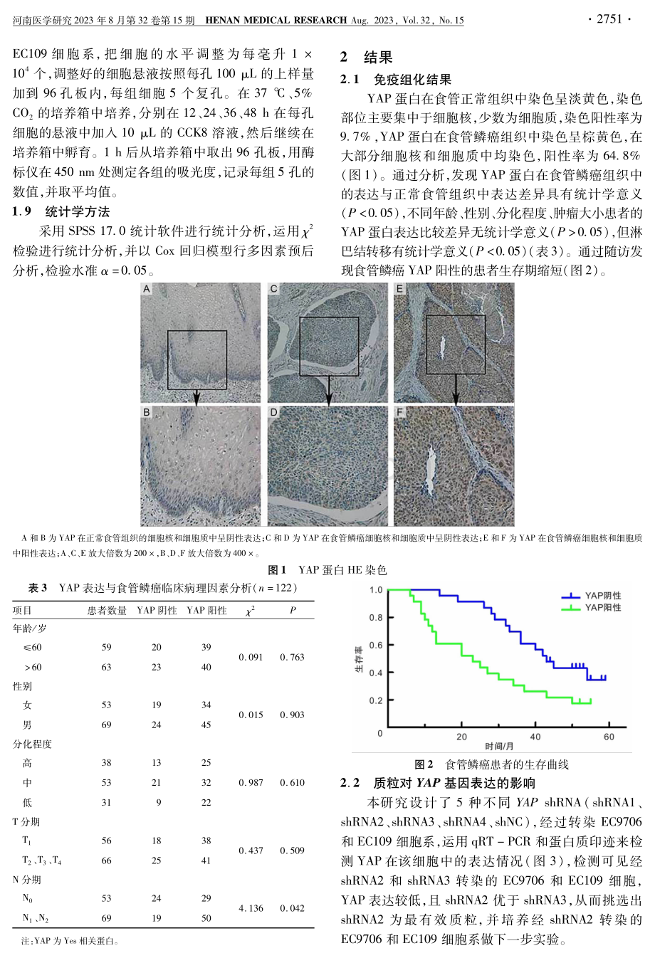 YAP-shRNA载体构建及其对食管鳞癌细胞系生物学行为的影响.pdf_第3页