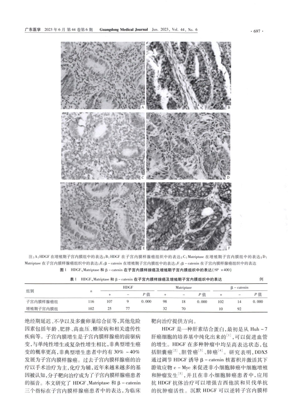 HDGF、Matriptase和β-catenin蛋白在子宫内膜样腺癌中的表达.pdf_第3页