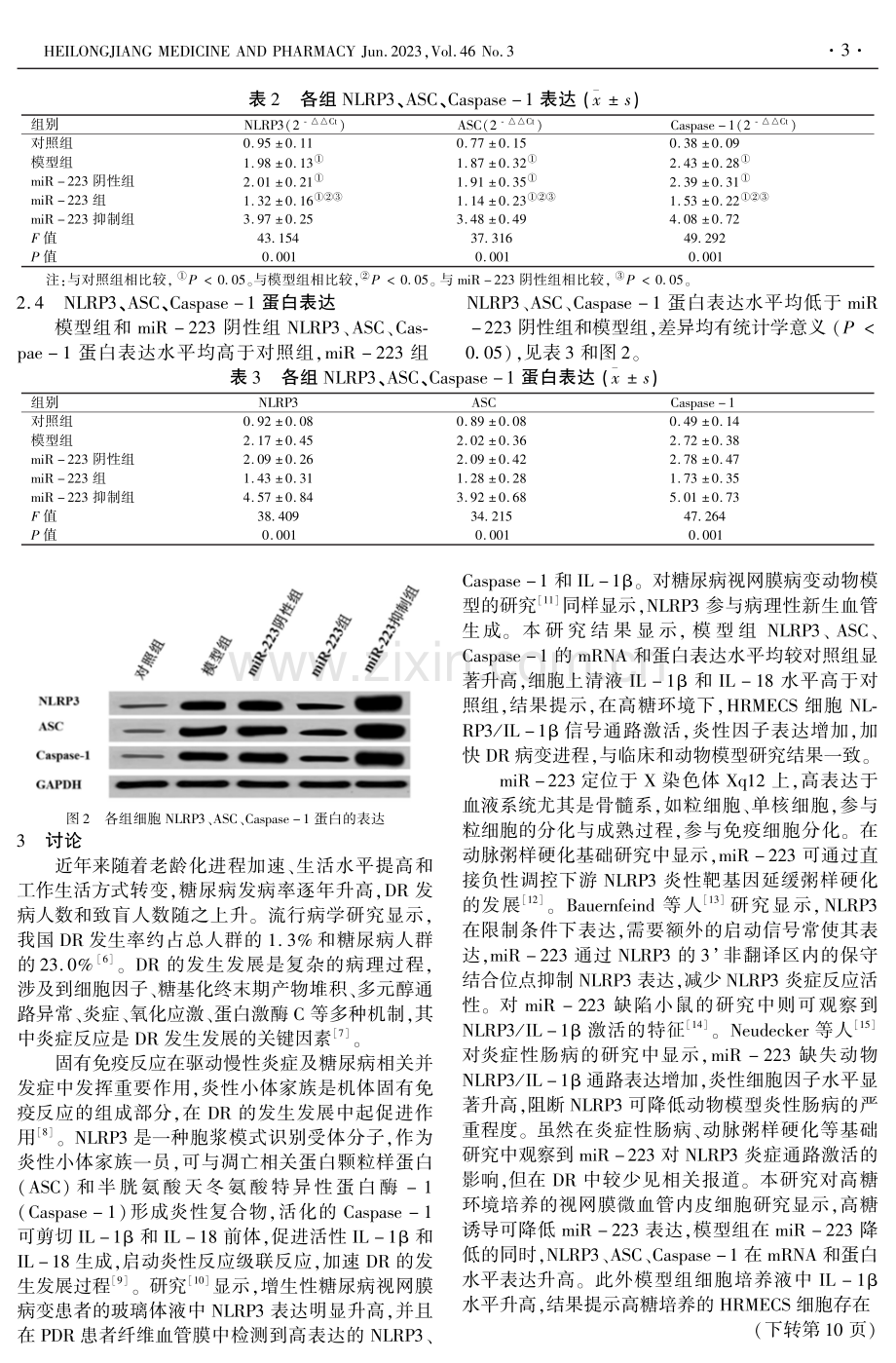 miR-223对高糖环境培养的视网膜微血管内皮细胞NLRP3_IL-1β通路的调控作用.pdf_第3页