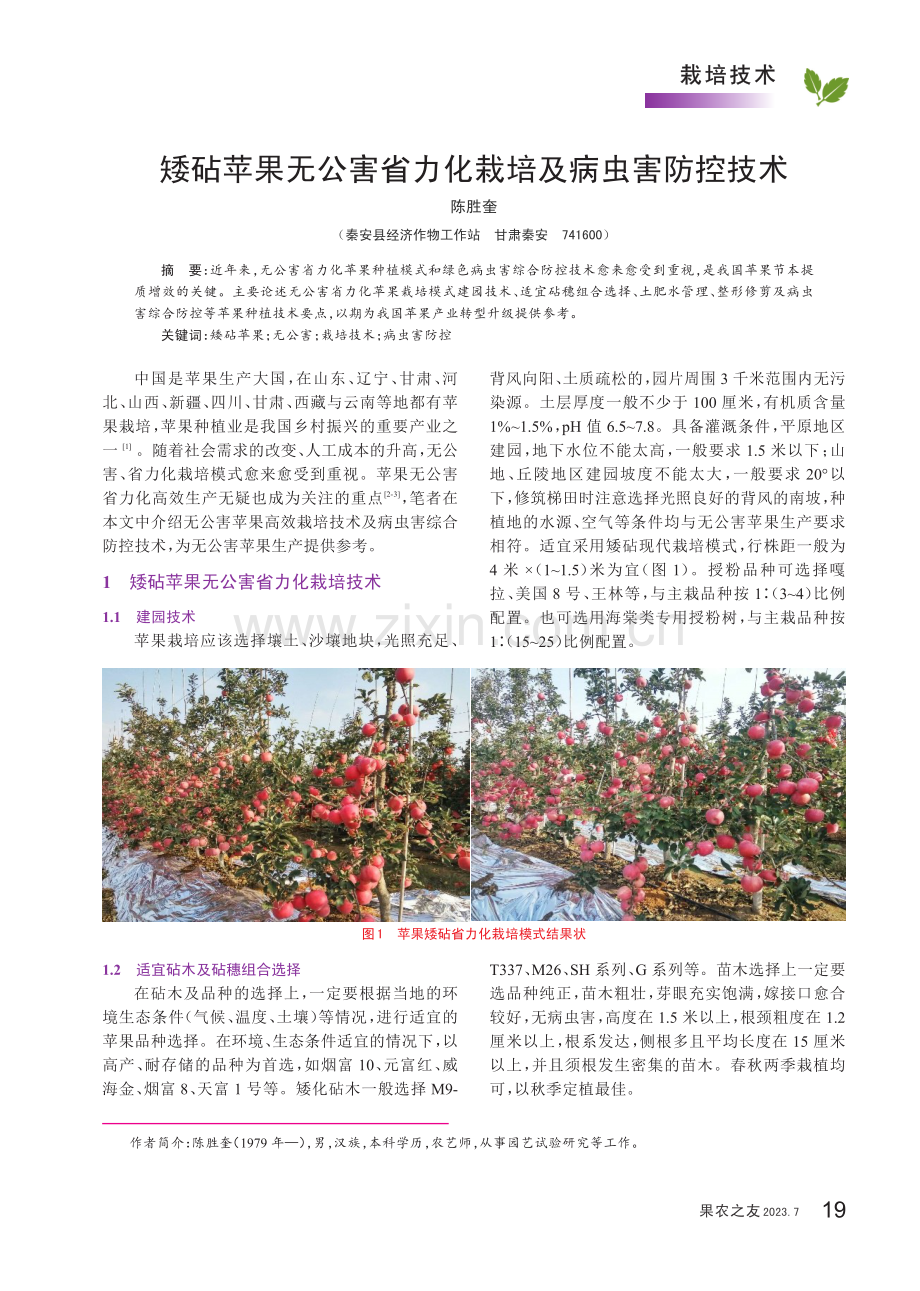 矮砧苹果无公害省力化栽培及病虫害防控技术.pdf_第1页