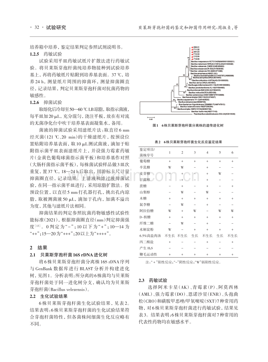 贝莱斯芽孢杆菌的鉴定和抑菌作用研究.pdf_第3页