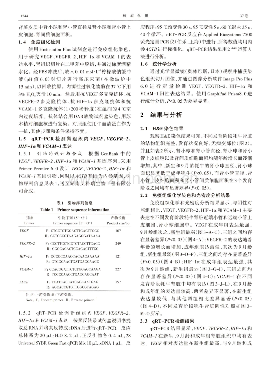 VEGF及其相关低氧因子在不同发育阶段牦牛肾脏中的表达分布研究.pdf_第3页