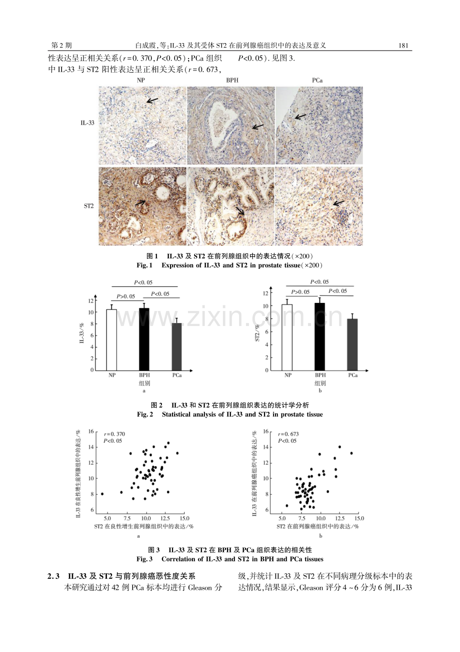 IL-33及其受体ST2在前列腺癌组织中的表达及意义.pdf_第3页