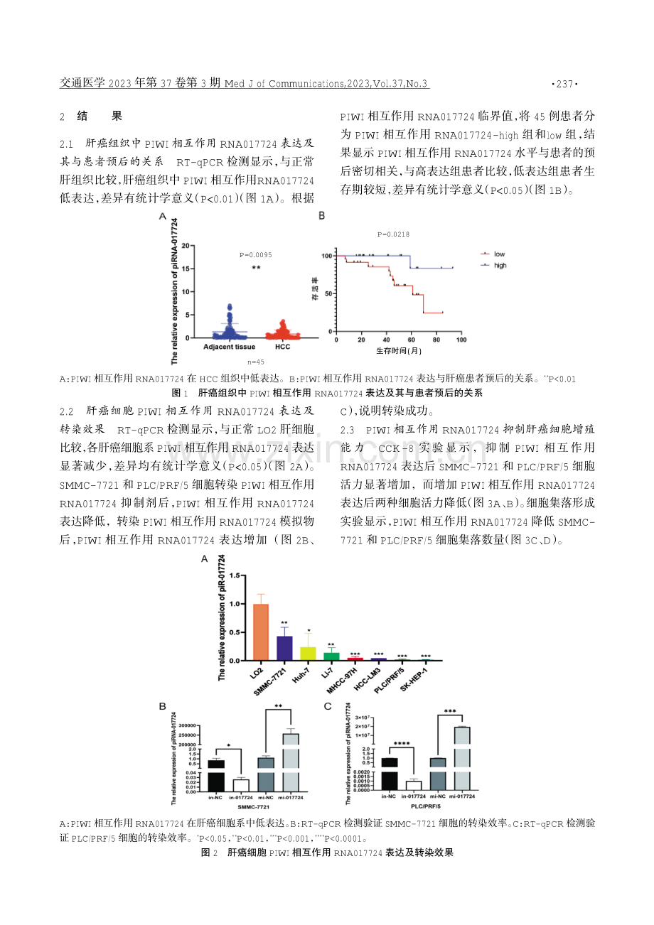 PIWI相互作用RNA017724在肝细胞癌中的表达及其对细胞增殖、凋亡、侵袭和迁移的影响.pdf_第3页