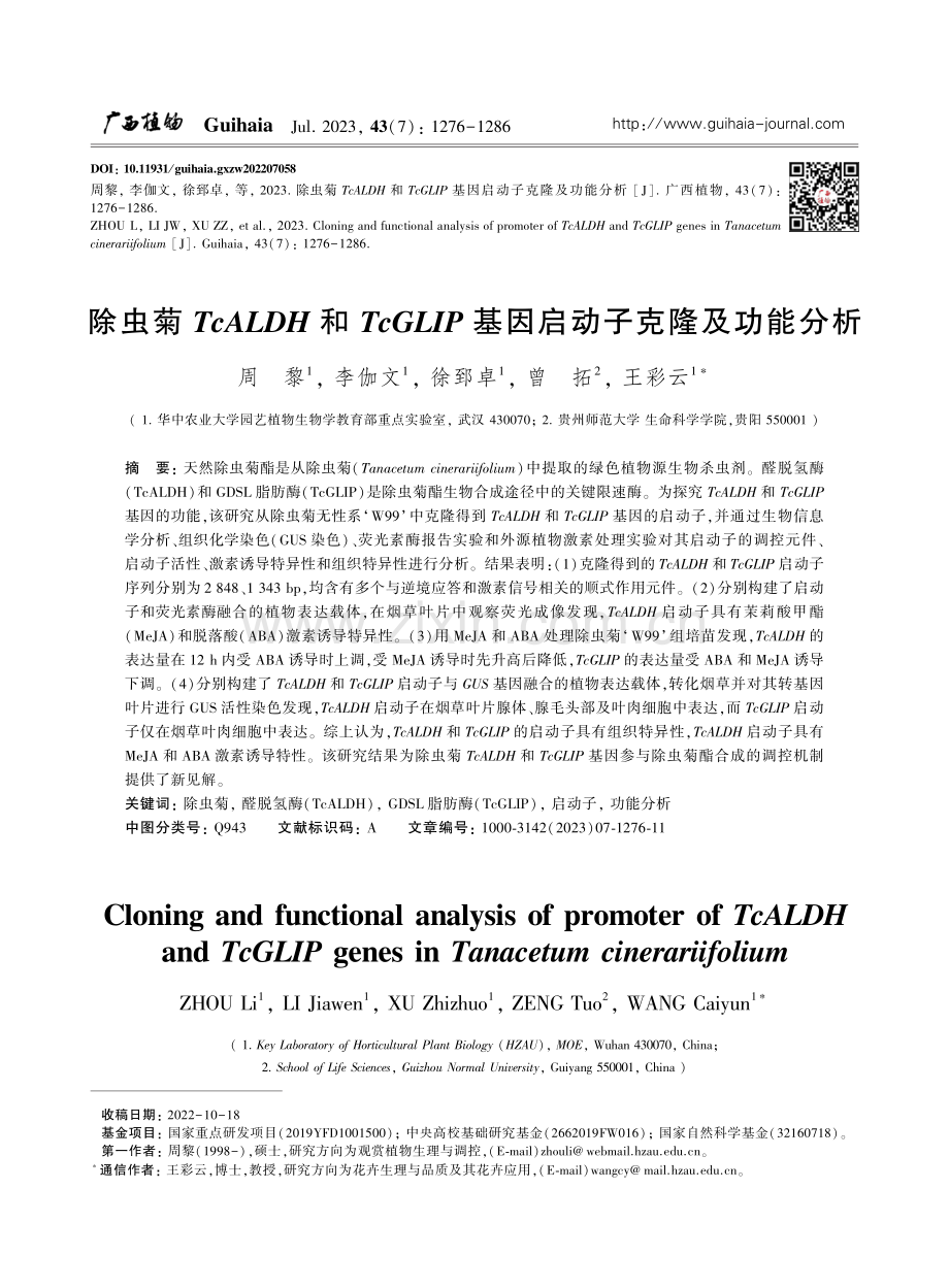 除虫菊TcALDH和TcGLIP基因启动子克隆及功能分析.pdf_第1页