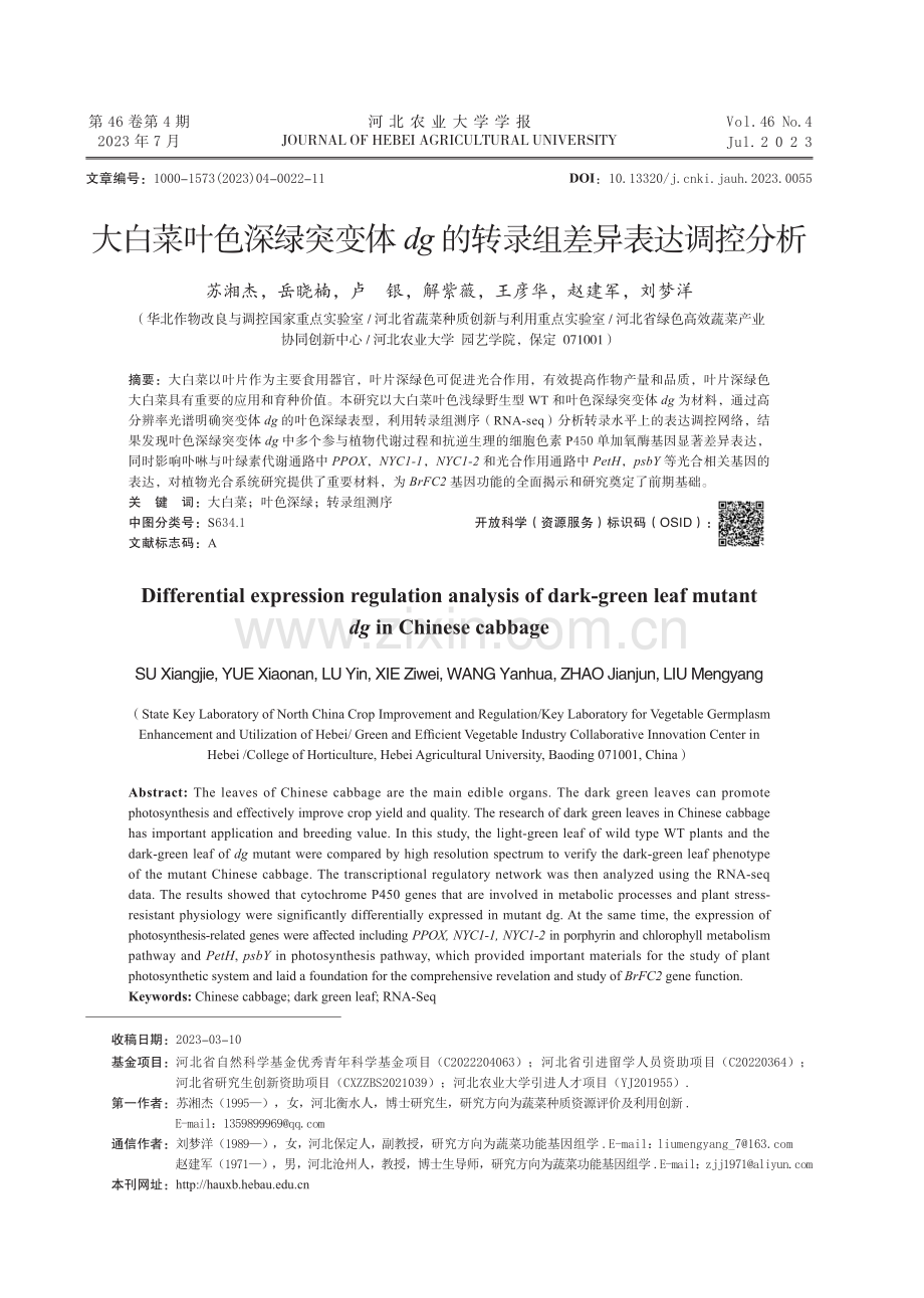 大白菜叶色深绿突变体 dg 的转录组差异表达调控分析.pdf_第1页